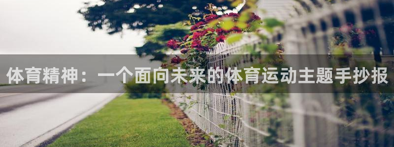 球客岛：体育精神：一个面向未来的体育运动主题手抄报
