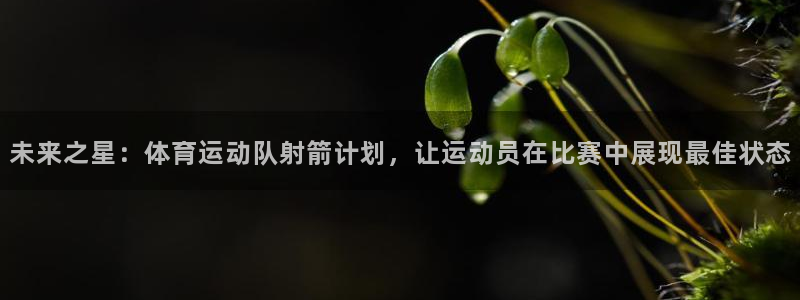 球客岛