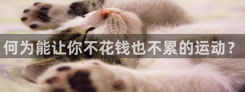 球客岛