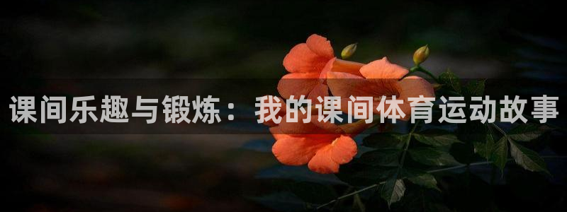 球客岛：课间乐趣与锻炼：我的课间体育运动故事