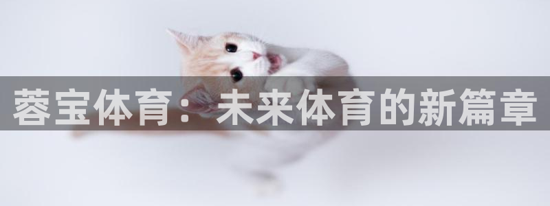 球客岛：蓉宝体育：未来体育的新篇章