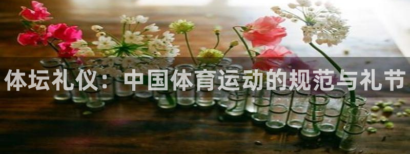 球客岛：体坛礼仪：中国体育运动的规范与礼节