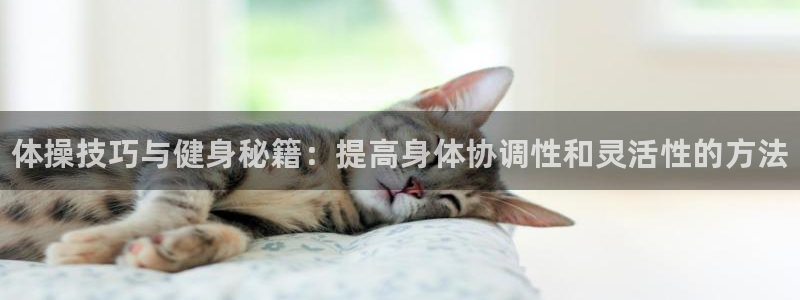 球客岛：体操技巧与健身秘籍：提高身体协调性和灵活性的方法