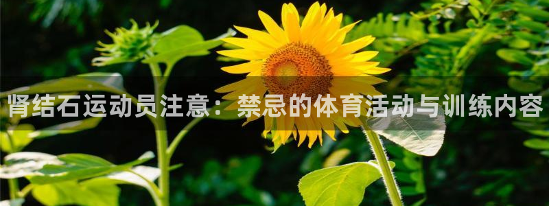 球客岛：肾结石运动员注意：禁忌的体育活动与训练内容