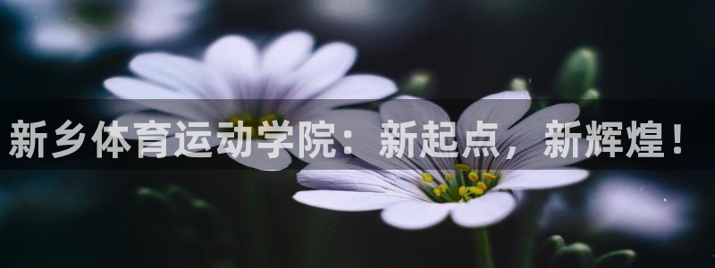 球客岛：新乡体育运动学院：新起点，新辉煌！