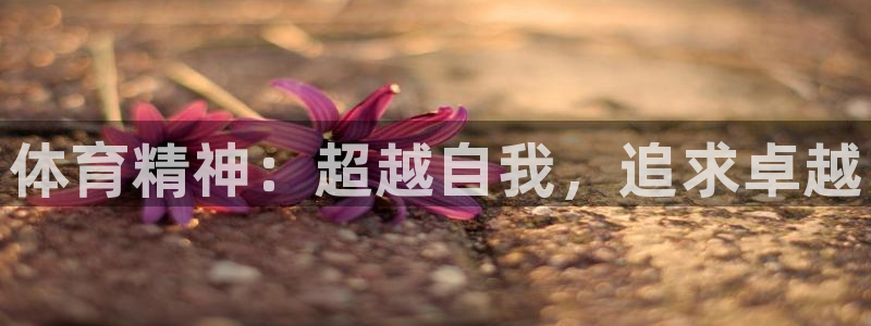 球客岛：体育精神：超越自我，追求卓越