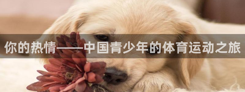 球客岛：你的热情——中国青少年的体育运动之旅