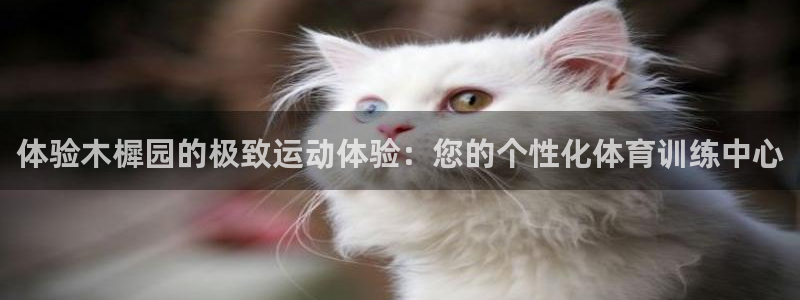 球客岛：体验木樨园的极致运动体验：您的个性化体育训练中心