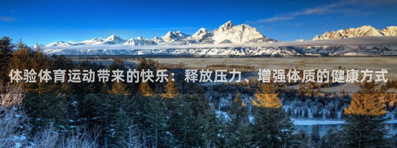 球客岛：体验体育运动带来的快乐：释放压力、增强体质的健康方式
