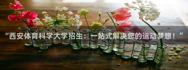 球客岛：“西安体育科学大学招生：一站式解决您的运动梦想！”