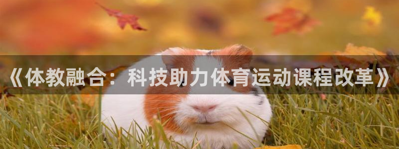 球客岛：《体教融合：科技助力体育运动课程改革》