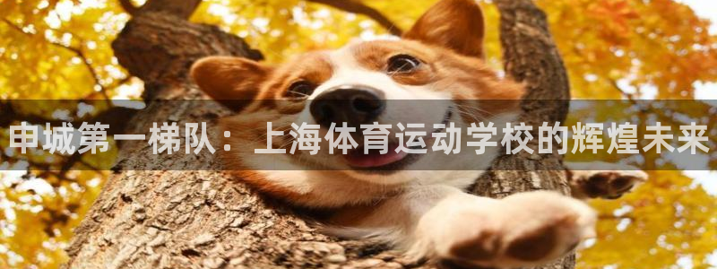球客岛：申城第一梯队：上海体育运动学校的辉煌未来