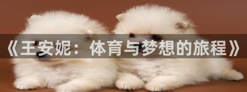球客岛：《王安妮：体育与梦想的旅程》