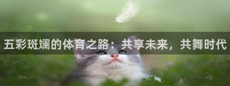 球客岛：五彩斑斓的体育之路：共享未来，共舞时代