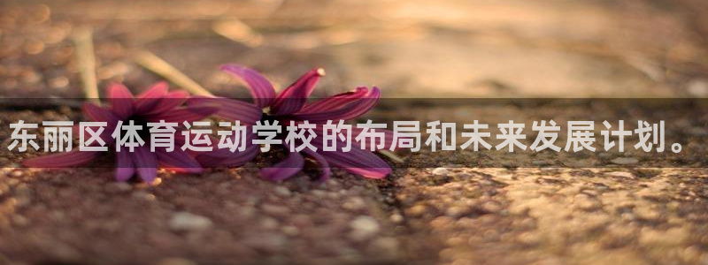球客岛：东丽区体育运动学校的布局和未来发展计划。