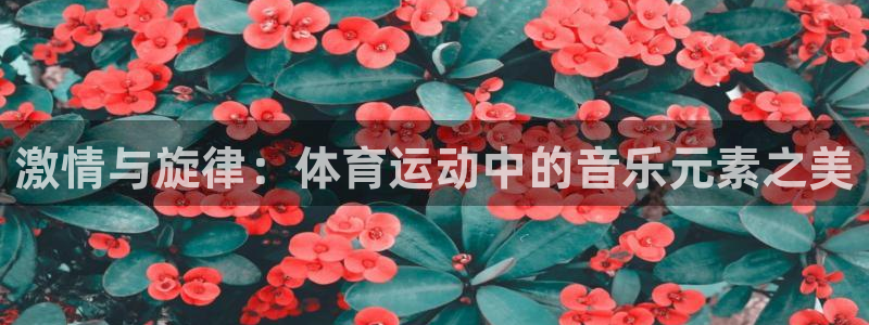球客岛：激情与旋律：体育运动中的音乐元素之美