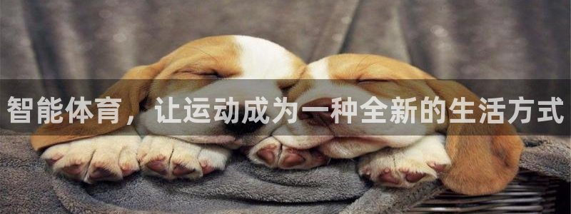 球客岛：智能体育，让运动成为一种全新的生活方式