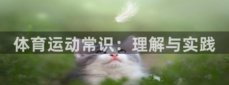 球客岛：体育运动常识：理解与实践