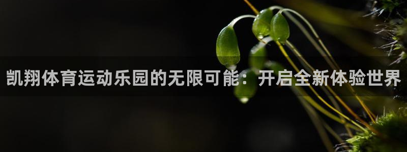 球客岛：凯翔体育运动乐园的无限可能：开启全新体验世界