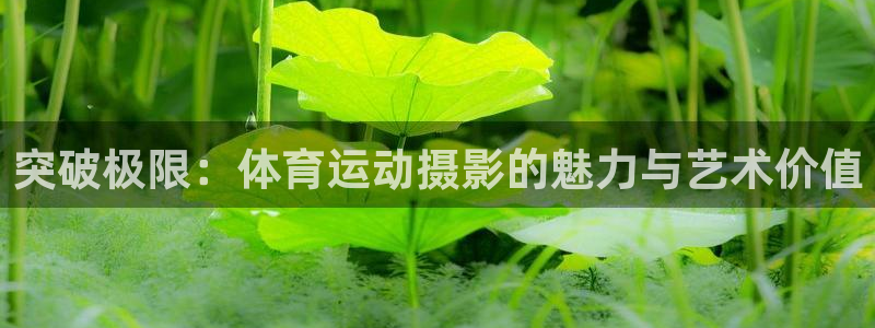 球客岛