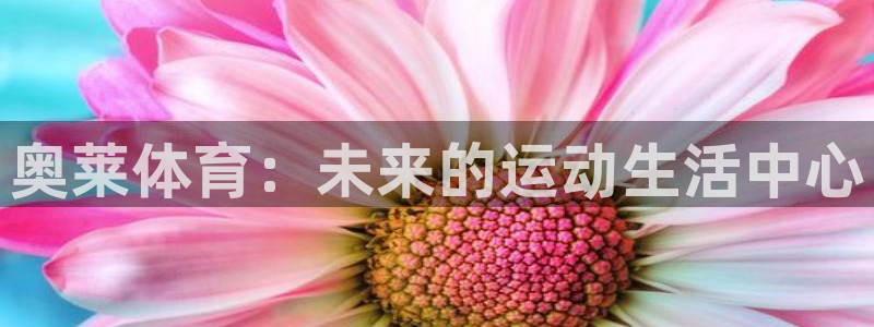 球客岛