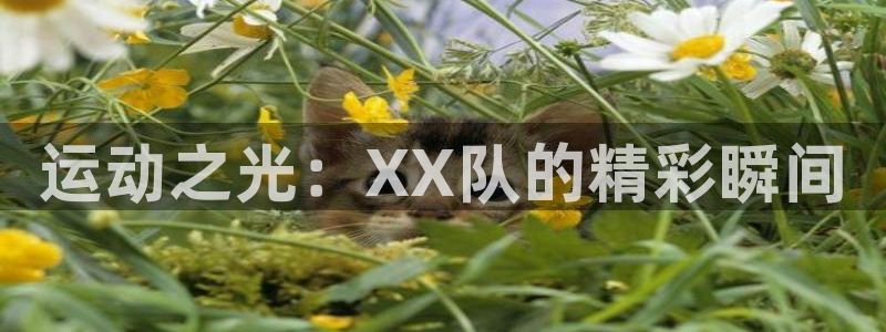 球客岛