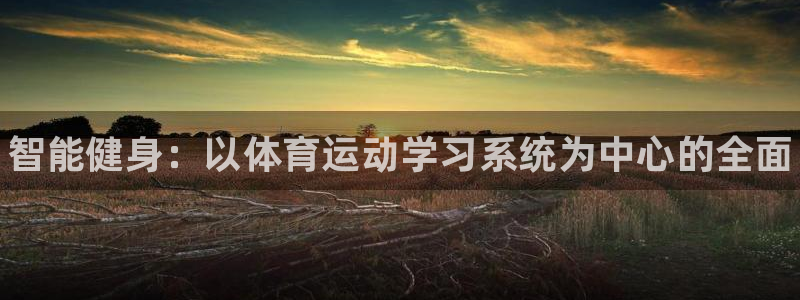 球客岛