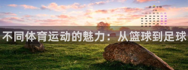 球客岛