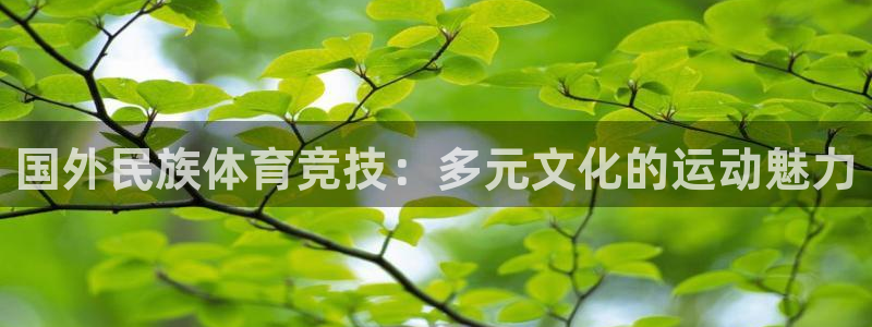 球客岛