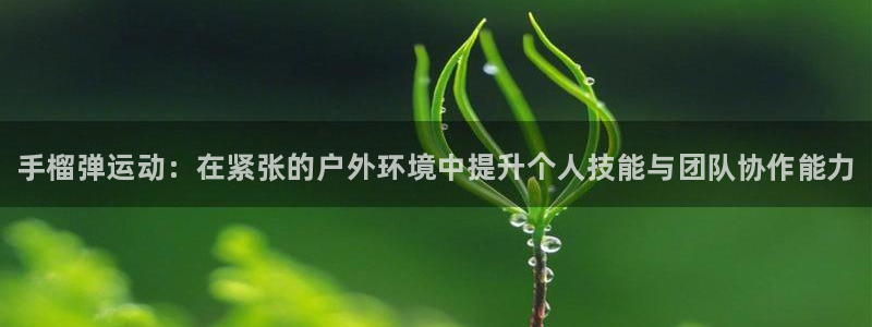 球客岛：手榴弹运动：在紧张的户外环境中提升个人技能与团队协作能力