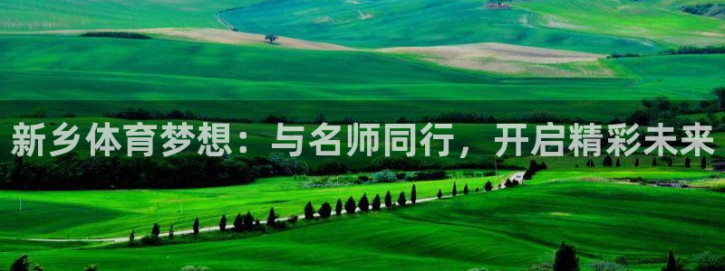 球客岛：新乡体育梦想：与名师同行，开启精彩未来