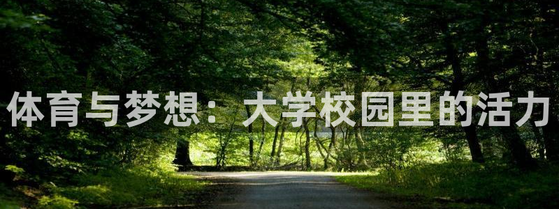 球客岛：体育与梦想：大学校园里的活力