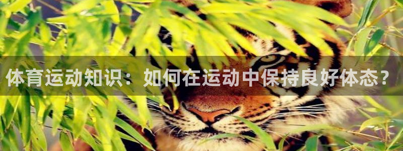 球客岛：体育运动知识：如何在运动中保持良好体态？